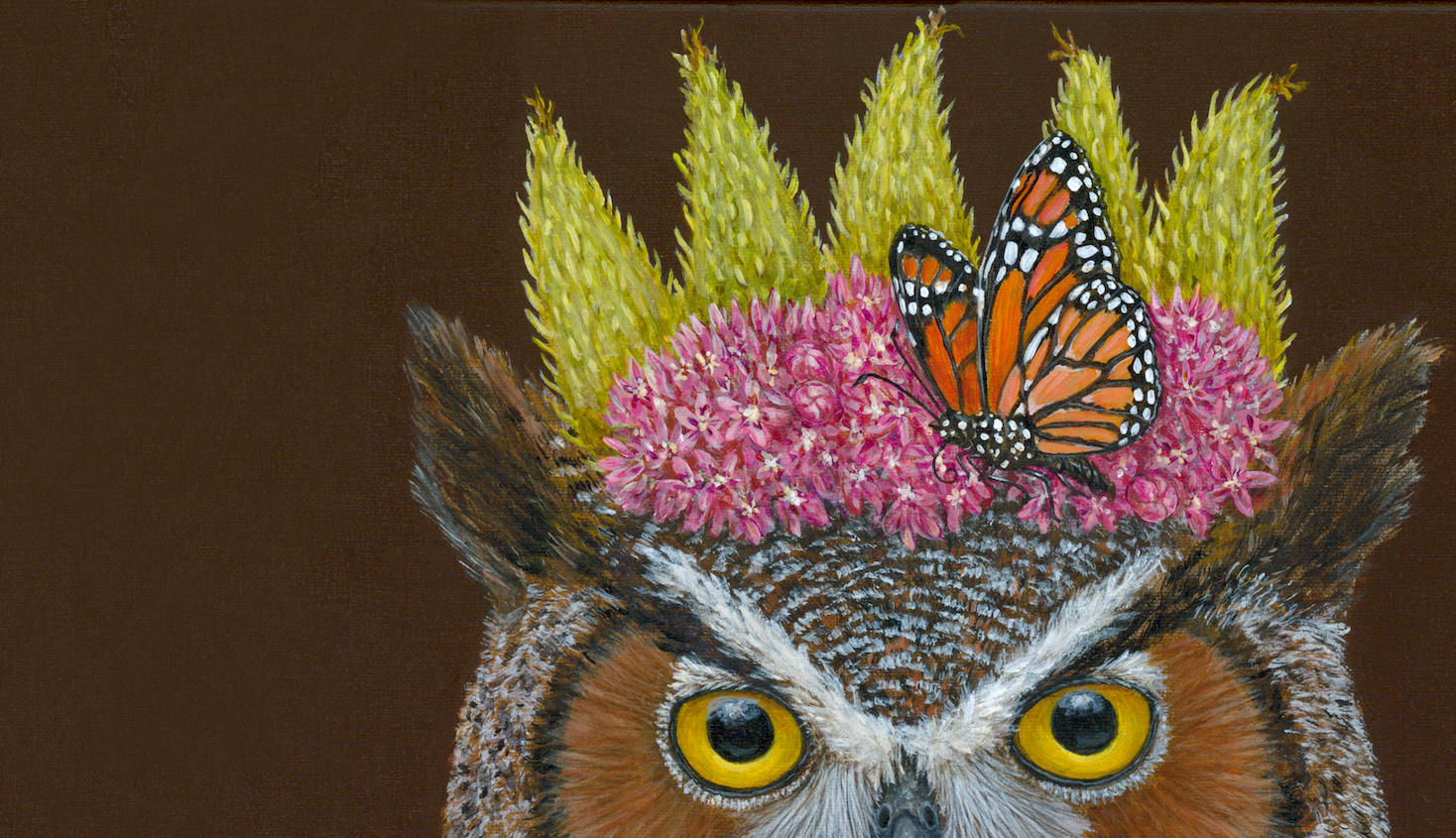 Homepage | Vicki Sawyer